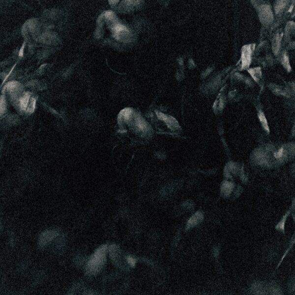  - Image 8 of 8